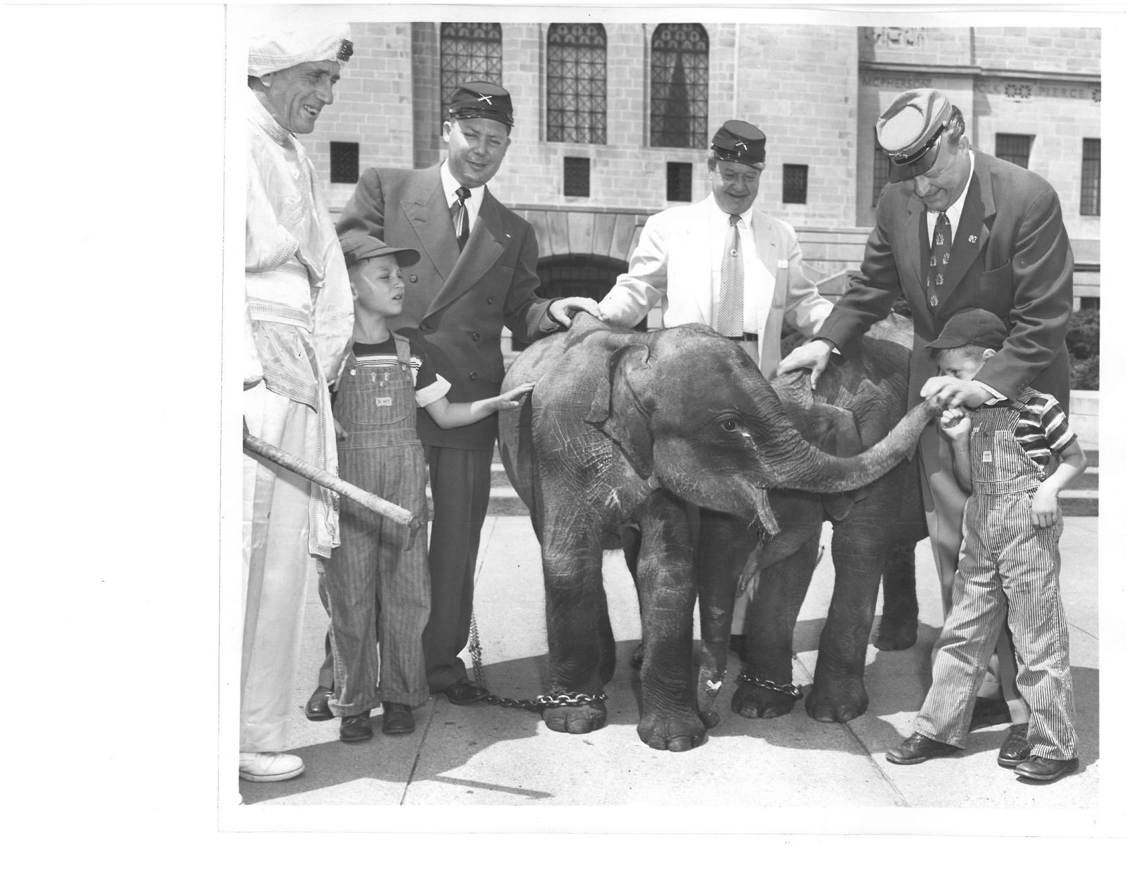 Peterson's Pachyderms